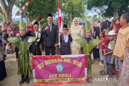 Pawai karnaval di Kecamatan Nagajuang berlangsung meriah