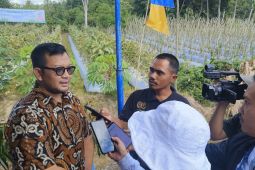 Dana kredit Smart di BPR Tabalong Bersinar capai Rp53 miliar