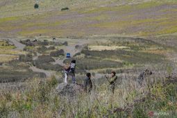 Kunjungan wisata Bromo HUT ke 80 RI