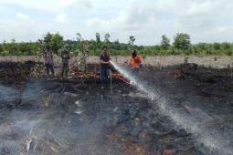 BPBD: Ogan Ilir, Musi Banyuasin dan Muara Enim masuk zona merah karhutla