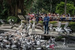 46.467 wisatawan kunjungi Ragunan selama libur HUT ke-80 RI
