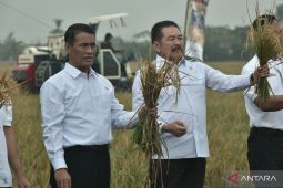 Panen raya program Jaksa Mandiri Pangan