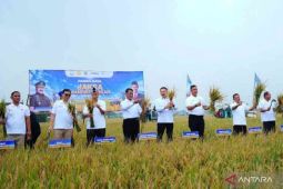 Kabupaten Bekasi menjadi percontohan program Jaksa Mandiri Pangan