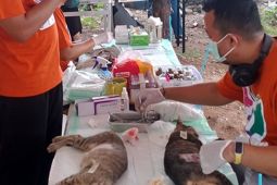 Kepulauan Seribu cegah rabies lewat sterilisasi dan vaksinasi HPR