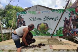 Mewujudkan ketahanan pangan dari pekarangan rumah