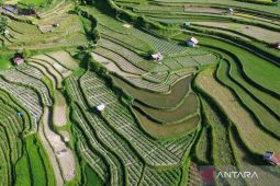 Ilmu Tanah pada lensa geografi bagi lingkungan dan manusia