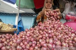 Pemkot Palu: Harga bawang merah melonjak Rp60 ribu per kilogram