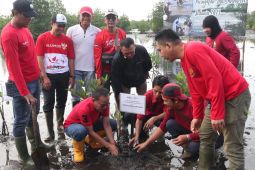 Bengkulu-KKI Warsi targetkan tanam 20.000 mangrove upaya rehabilitasi