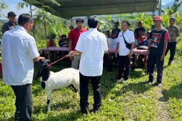 Pemkab Jembrana Bali serahkan ratusan ekor kambing kepada masyarakat