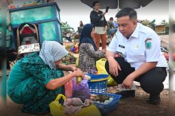 Bupati tinjau kondisi pasar di Nanga Bulik
