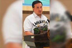Bupati Lamandau buka musrenbang RPJMD tahun 2025-2029