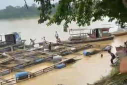 Ratusan keramba di Desa Aro hanyut di Sungai Batanghari