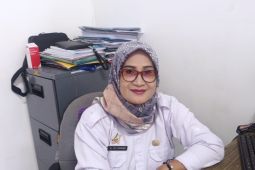 Pemkab Lebak optimalkan Dashat libatkan kader desa dan kelurahan di 28 kecamatan