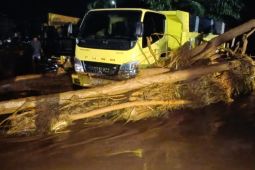 Gubernur Sulteng minta hentikan aktivitas tambang di Desa Molino Morut