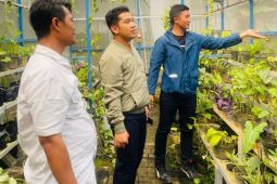 Bersama Kampung Sirih, Pertamina Patra Niaga Regional JBB sinergi bangun kemandirian ekonomi