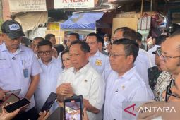 Sidak Pasar Rau Serang, Mendagri sebut harga bahan pokok stabil