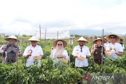 Pelni berdayakan desa mandiri untuk pasok makanan penumpang
