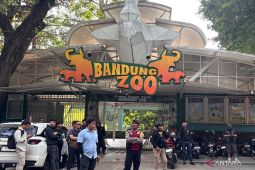 Wali Kota Farhan minta bantuan hukum ke Kejati Jabar soal Bandung Zoo