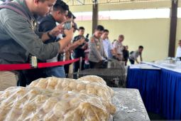 Polda Kepri gagalkan penyeludupan 2.020 butir telur penyu Bintan ke Singapura