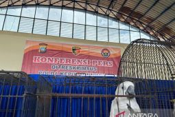 Polda Kepri gagalkan jual beli satwa dilindung melalui media sosial