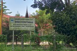 9.205 hektare sawit masyarakat Dharmasraya dalam kawasan hutan