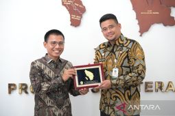 Gubernur Sumut  minta PLN terus optimalkan kelistrikan di daerah