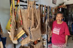 Wakil Bupati ajak generasi muda di Teluk Wondama lestarikan Noken