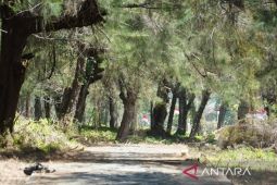 Pemkot Bengkulu imbau warga tidak olahraga di bahu jalan