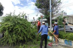 Pemkot Bengkulu rutin rawat tanaman hias tingkatkan kenyamanan