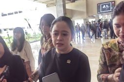 Puan sebut akan cek dulu kabar OTT Wamenaker