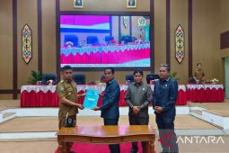 Pemkab Katingan-DPRD sepakati RPJMD Katingan 2025-2029