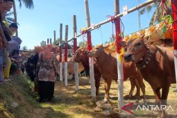 Pamekasan kembangkan ekonomi peternakan dengan pendekatan seni budaya