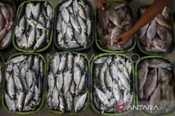 Pemprov NTT terus mengupayakan peningkatan produk kelautan dan perikanan