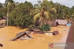 Banjir bandang di Kapuas, belasan rumah dilaporkan hanyut