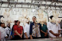 Pemkot Surabaya miliki RPH unggas berkapasitas lima ribu ekor per hari