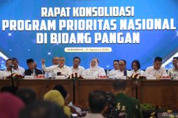 Rapat konsolidasi program prioritas nasional