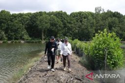Guru besar Universitas Mulawarman kembangkan perikanan berbasis mangrove di Muara Badak