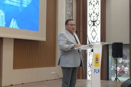 PLN bersinergi dukung pembangunan berkelanjutan di Kalselteng