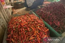 Harga bahan pokok di Batang Hari alami kenaikan