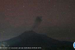 Gunung Lewotobi Laki-laki di Flotim tiga kali erupsi pada Jumat malam