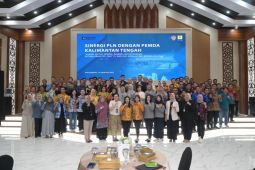 PLN terus bersinergi dukung pembangunan berkelanjutan di Kalsel dan Kalteng