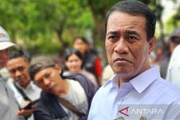 Mentan pastikan harga beras turun tak pengaruhi kesejahteraan petani