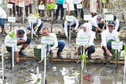 Semen Indonesia tanam 17.845 bibit bakau di Pantai Bahak Jatim