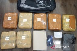 Polisi tangkap pemuda kedapatan simpan 7 kg ganja siap edar di Jakarta Timur
