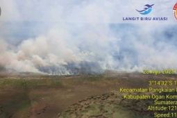 BPBD kerahkan tiga helikopter untuk pemadaman karhutla di OKI