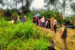 Antara gajah dan manusia: Konservasi yang menguras air mata