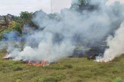 Pemerhati: Pelibatan masyarakat kawasan hutan cegah Karhutla