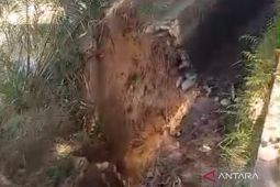 Mukomuko minta bantuan BWS tangani saluran irigasi jebol