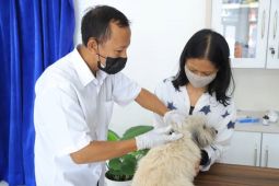 DKP Kota Tangerang buka program kastrasi kucing jantan domestik
