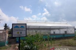 Belasan Koperasi Merah Putih di Dompu mulai buka usaha